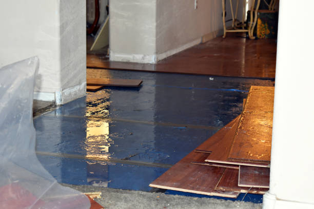 Professional Basement Flood Cleanup technician working in Randolph, NJ
